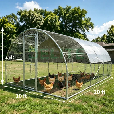 10x20 Chicken Run